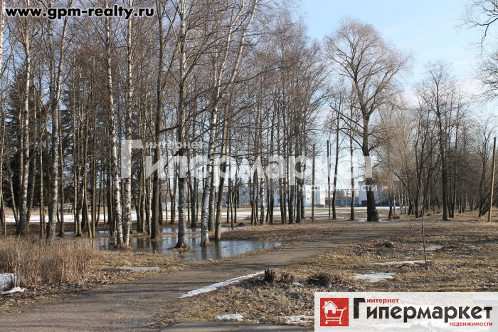 Недвижимость, Новгородская область, Шимский район, Шимск, фото